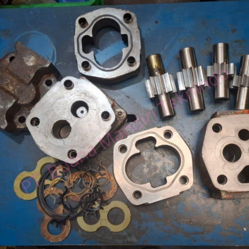 Commercial Gear Pump