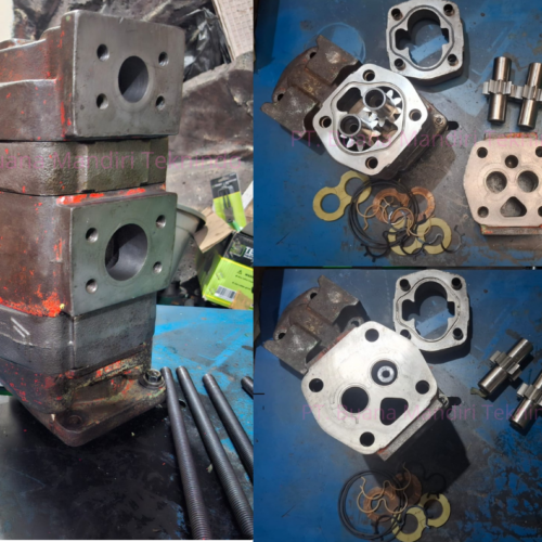 Commercial Gear Pump