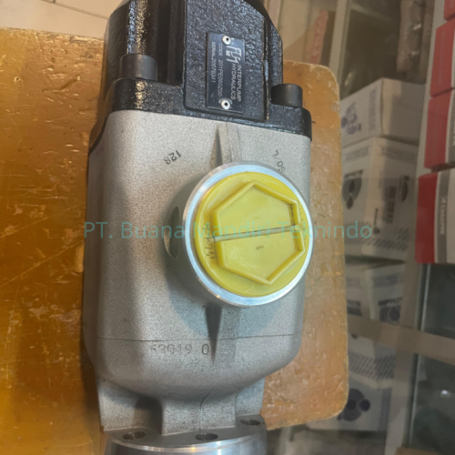 Hydrocar Piston Pump