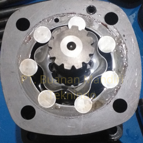 Gerotor Motor